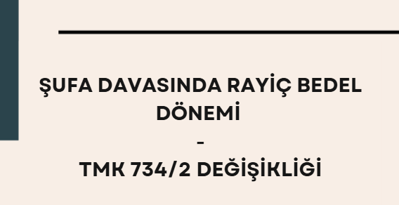 https://www.aliyuksel-hilmiozalp.av.tr/wp-content/uploads/2026/05/zeynep-makale.png